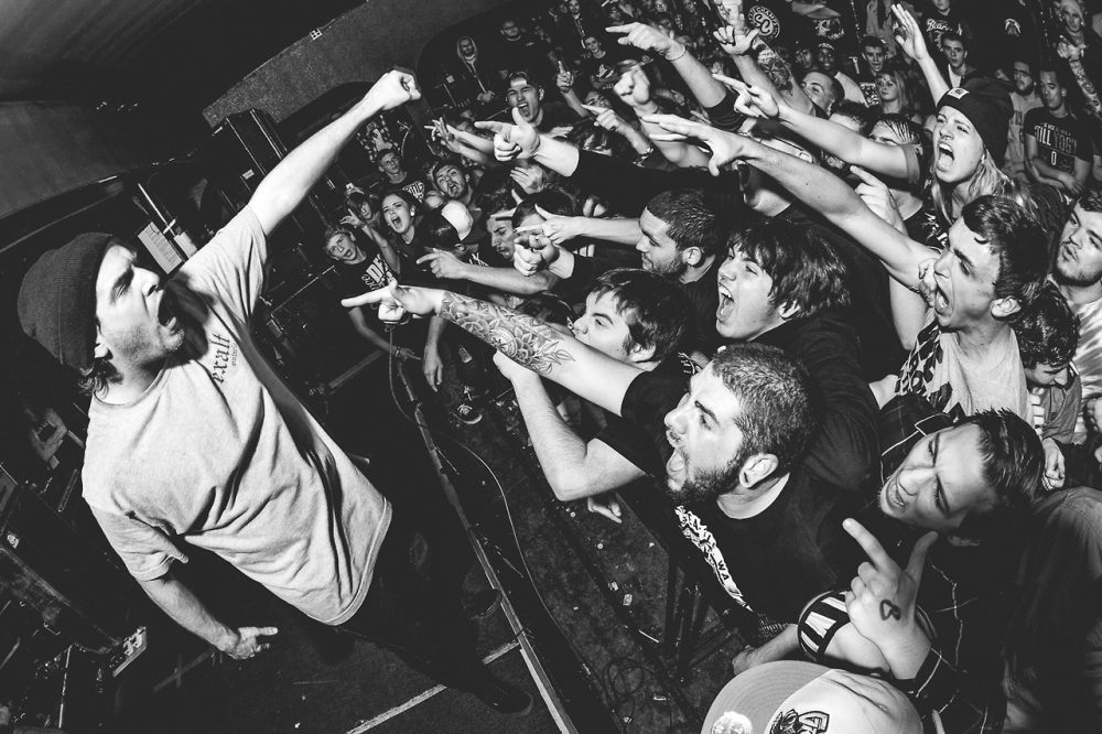 counterparts