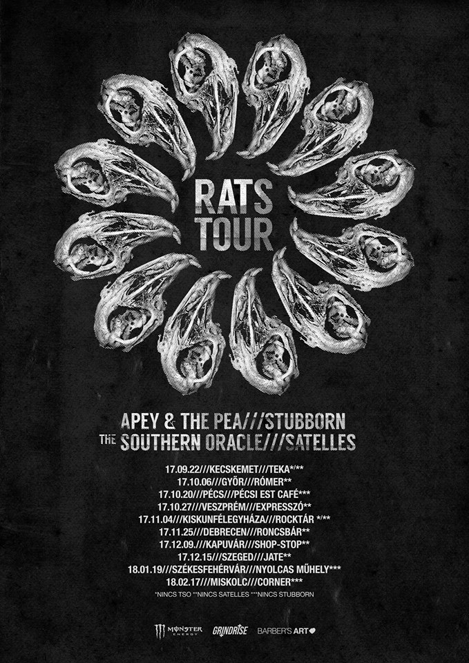 apey rats tour