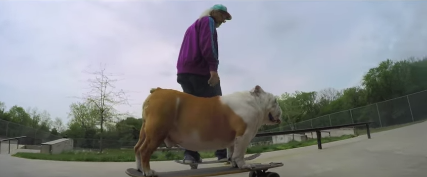 Új videóval jelentkezett a Dinosaur Jr.