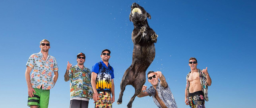 Aranylemez lett Ausztráliában az Ire!