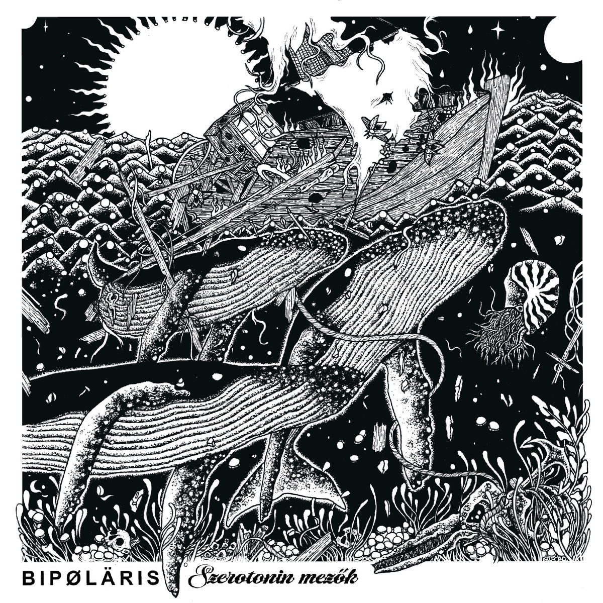 Az elveszett boldogság nyomában - Bipøläris: Szerøtønin mezők