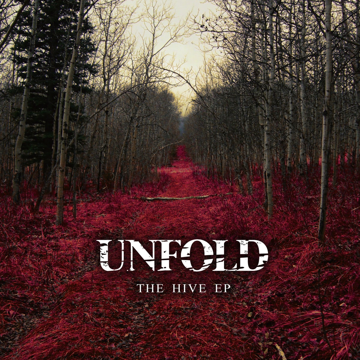 Japán hardcore-projektben működnek közre a Satelles tagjai